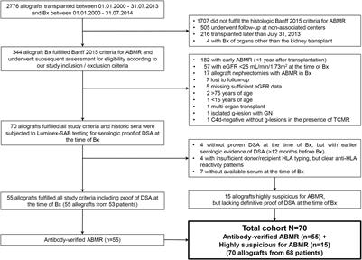 Early Estimated Glomerular Filtration Rate Trajectories After Kidney Transplant Biopsy as a Surrogate Endpoint for Graft Survival in Late Antibody-Mediated Rejection